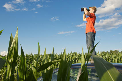 404 kid looking across corn field